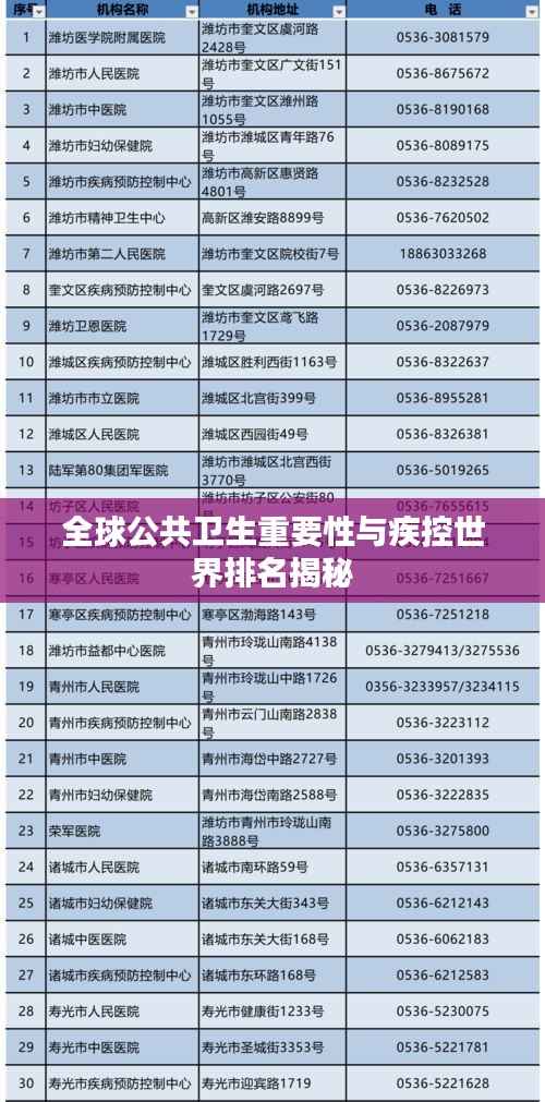 全球公共卫生重要性与疾控世界排名揭秘