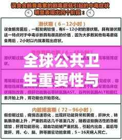 全球公共卫生重要性与疾控世界排名揭秘