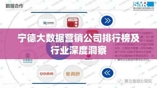 宁德大数据营销公司排行榜及行业深度洞察