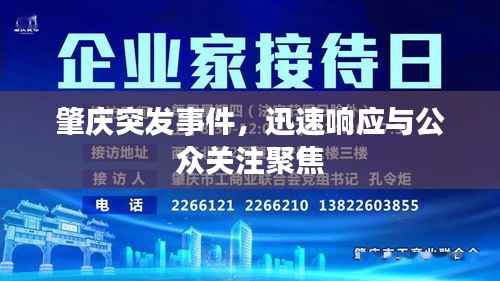 肇庆突发事件，迅速响应与公众关注聚焦