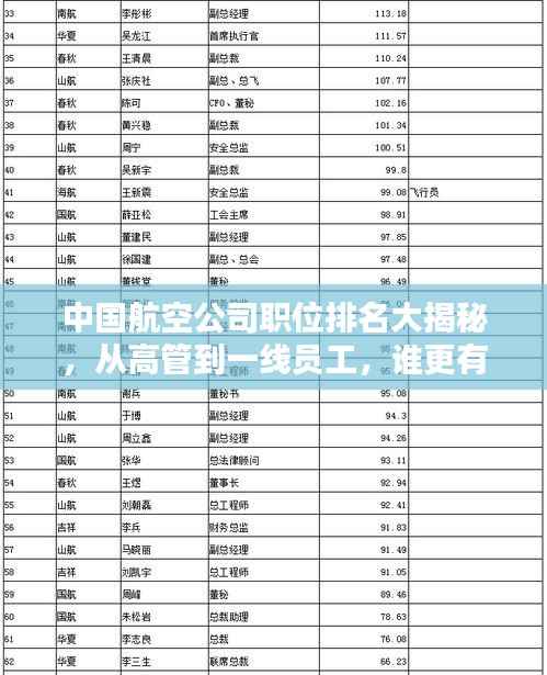 中国航空公司职位排名大揭秘,从高管到一线员工,谁更有话语权?