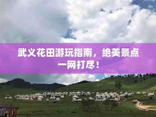 武义花田游玩指南,绝美景点一网打尽!