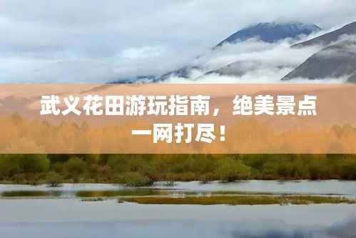 武义花田游玩指南,绝美景点一网打尽!