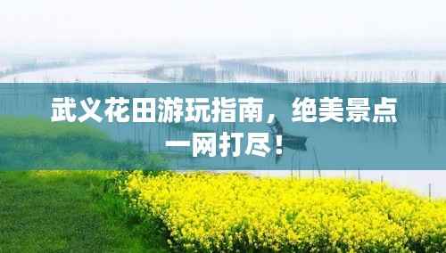 武义花田游玩指南,绝美景点一网打尽!