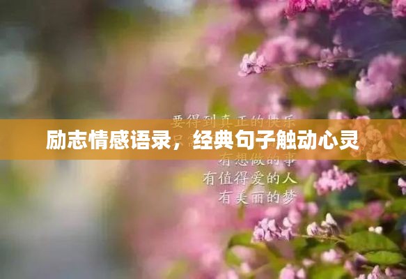 眉目如画 第4页