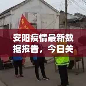 安阳疫情最新数据报告，今日关键信息汇总