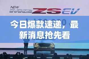 今日爆款速递，最新消息抢先看