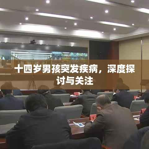 十四岁男孩突发疾病,深度探讨与关注