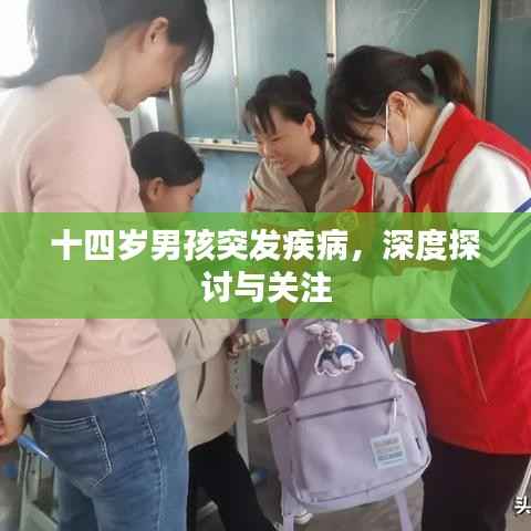 十四岁男孩突发疾病,深度探讨与关注