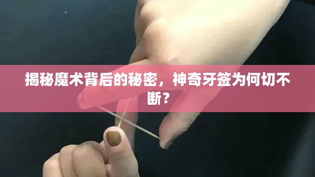 揭秘魔术背后的秘密，神奇牙签为何切不断？