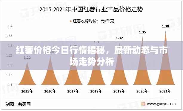 红薯价格今日行情揭秘，最新动态与市场走势分析