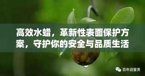 高效水蜡，革新性表面保护方案，守护你的安全与品质生活