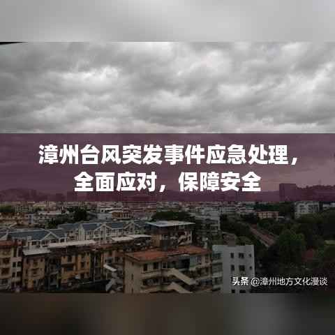 漳州台风突发事件应急处理,全面应对,保障安全