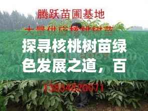 探寻核桃树苗绿色发展之道，百度带你走进生态繁荣的世界