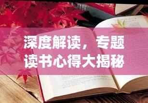 深度解读,专题读书心得大揭秘