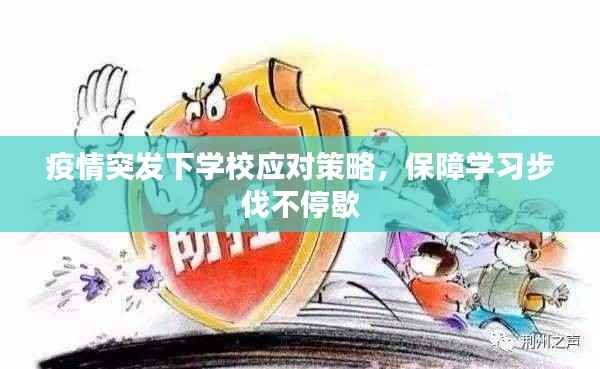疫情突发下学校应对策略，保障学习步伐不停歇