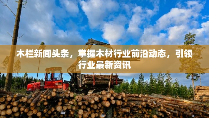 木栏新闻头条,掌握木材行业前沿动态,引领行业最新资讯