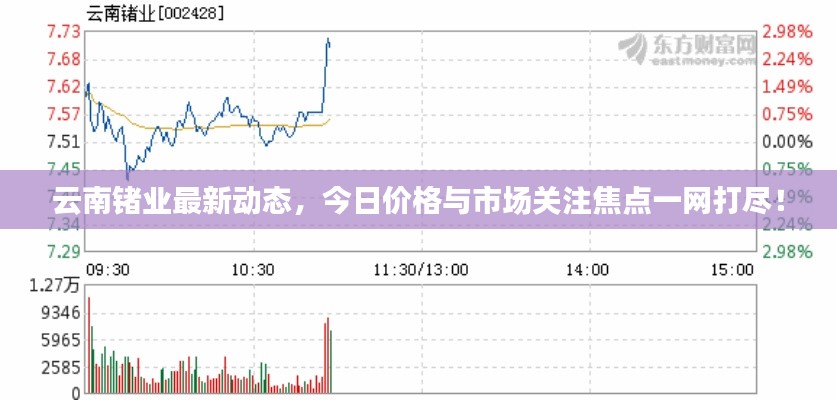 云南锗业最新动态，今日价格与市场关注焦点一网打尽！