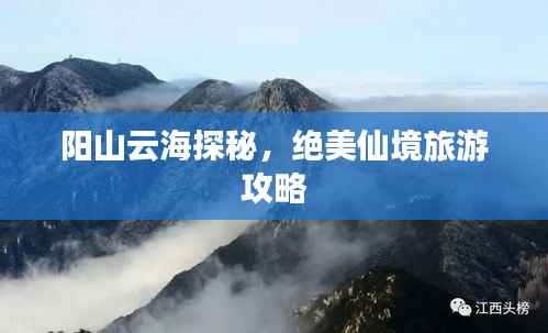 阳山云海探秘,绝美仙境旅游攻略
