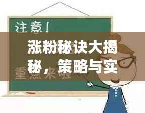 涨粉秘诀大揭秘，策略与实践，轻松吸引关注者增长！