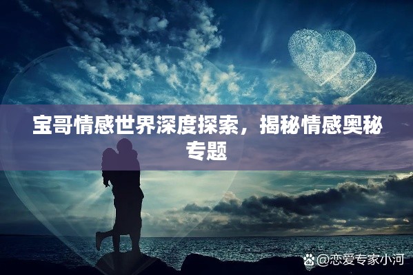 宝哥情感世界深度探索，揭秘情感奥秘专题