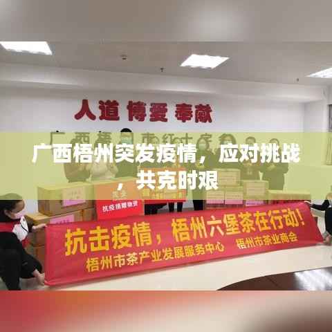 广西梧州突发疫情，应对挑战，共克时艰