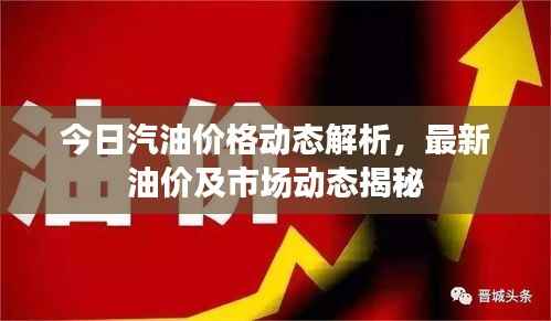 今日汽油价格动态解析，最新油价及市场动态揭秘