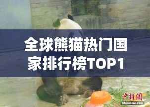全球熊猫热门国家排行榜TOP10揭晓!