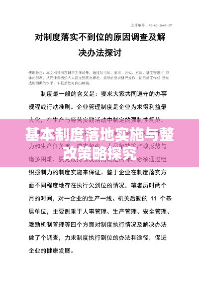 基本制度落地实施与整改策略探究