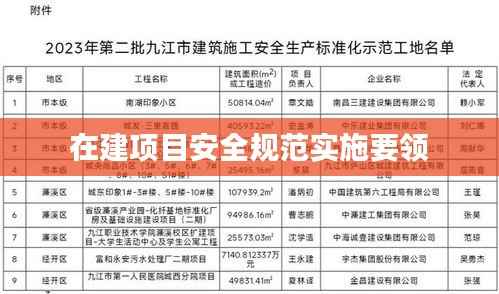 在建项目安全规范实施要领