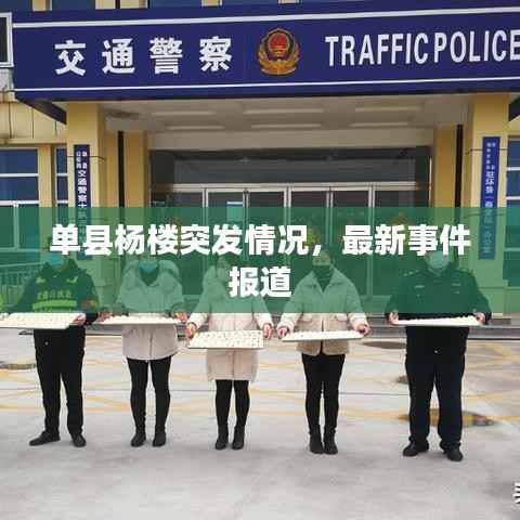 单县杨楼突发情况,最新事件报道