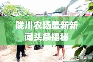 蛙鸣蚓叫 第4页