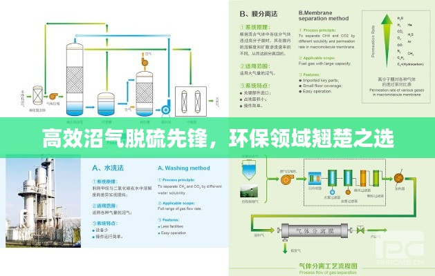 高效沼气脱硫先锋，环保领域翘楚之选