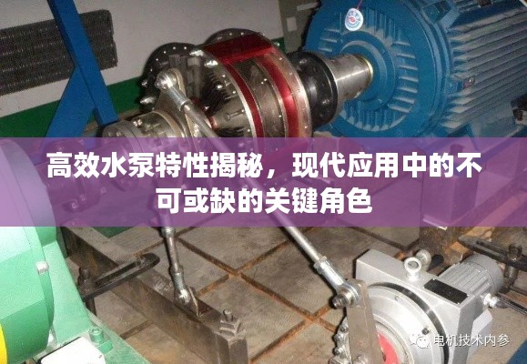 高效水泵特性揭秘，现代应用中的不可或缺的关键角色