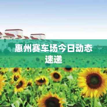 惠州赛车场今日动态速递