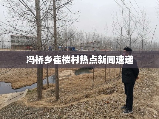 冯桥乡崔楼村热点新闻速递