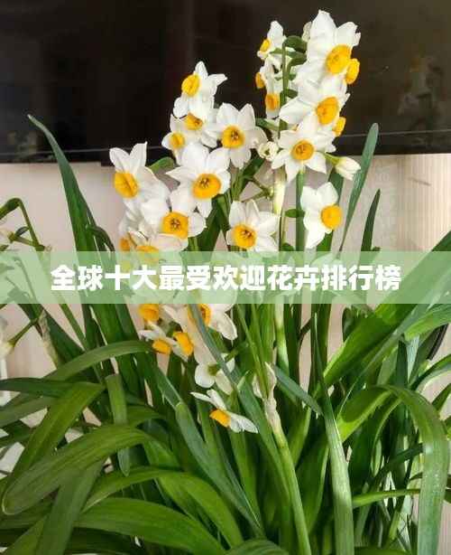 全球十大最受欢迎花卉排行榜
