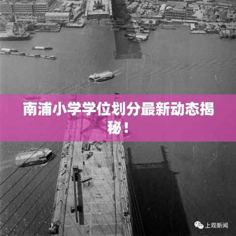 南浦小学学位划分最新动态揭秘!