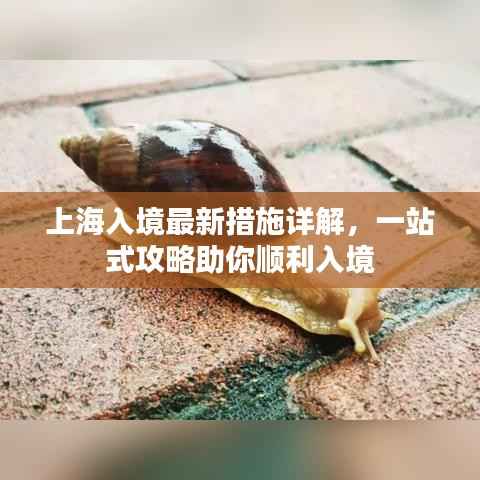 上海入境最新措施详解,一站式攻略助你顺利入境