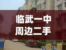 临武一中周边二手房市场深度探索与解析