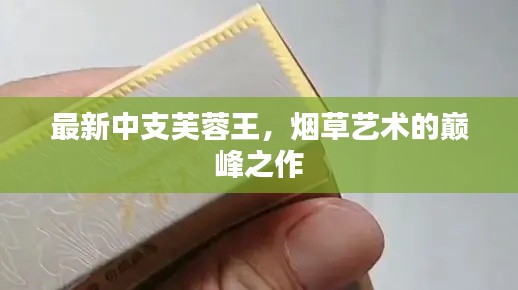 最新中支芙蓉王,烟草艺术的巅峰之作