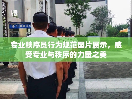 专业秩序员行为规范图片展示，感受专业与秩序的力量之美