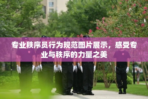 专业秩序员行为规范图片展示,感受专业与秩序的力量之美