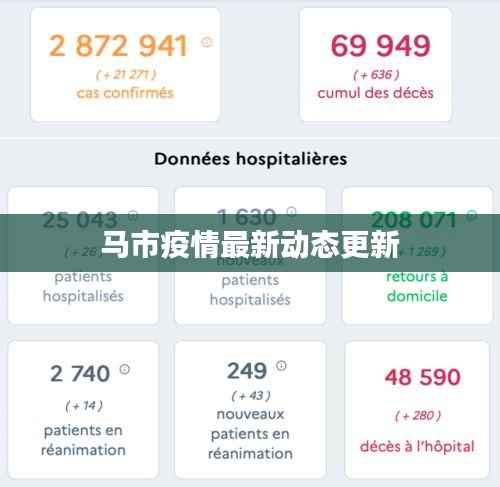 马市疫情最新动态更新