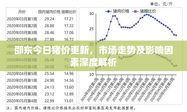 邵东今日猪价更新，市场走势及影响因素深度解析