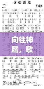 向往神鹰,歌词深度解读与感悟