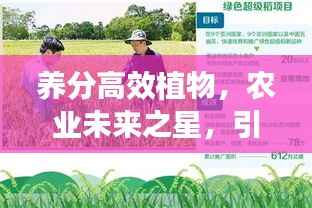 养分高效植物，农业未来之星，引领绿色革命新希望