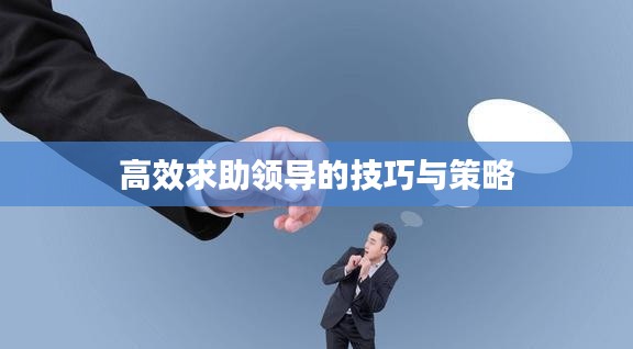 高效求助领导的技巧与策略