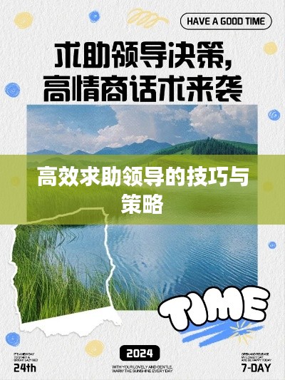 高效求助领导的技巧与策略