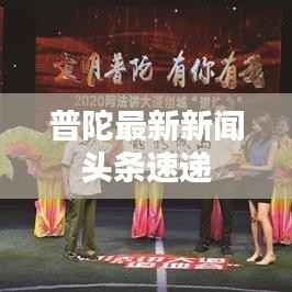 普陀最新新闻头条速递